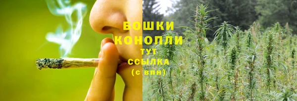 меф Белокуриха