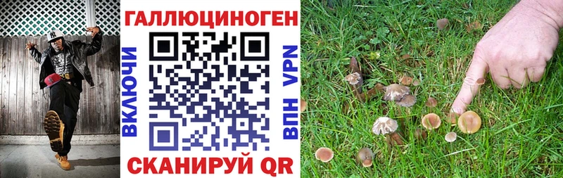 Псилоцибиновые грибы прущие грибы  Городец 