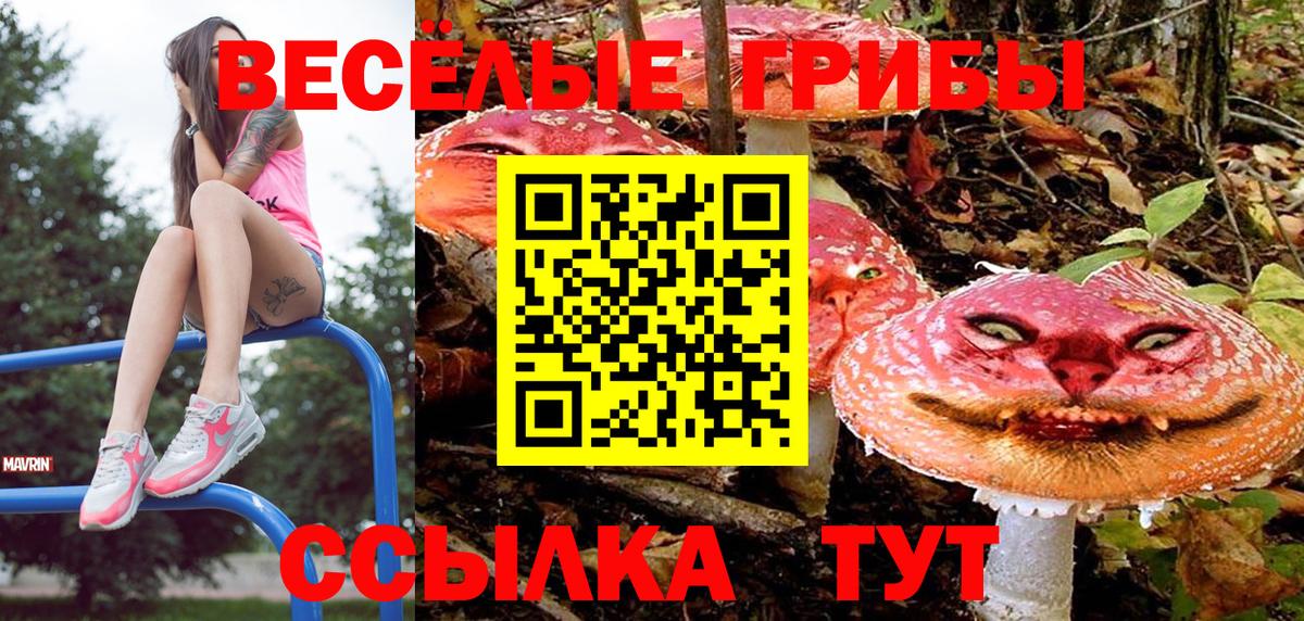 Псилоцибиновые грибы мухоморы  Вход с VPN  Городец 