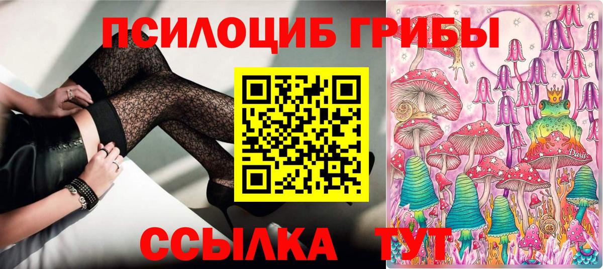 Псилоцибиновые грибы GOLDEN TEACHER Городец