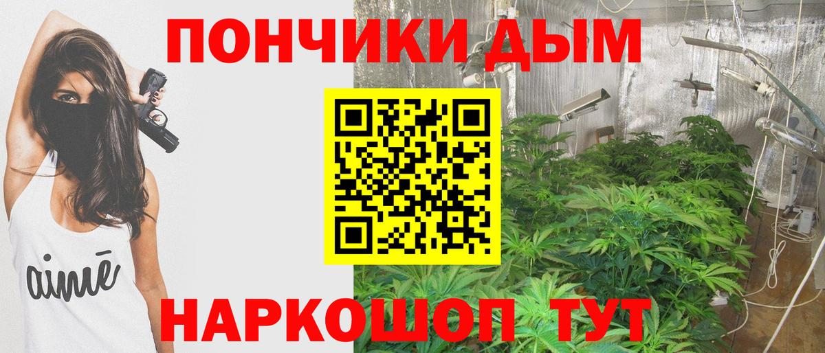 Шишки марихуана семена Городец